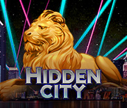 Hidden City